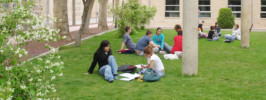 Estudiantes en campus