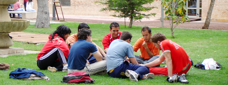 Foto de alumnos sentados sobre el cesped universitario