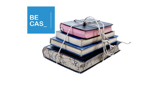 Becas de Formación en Tareas Relacionadas con la Investigación de la Doctrina Constitucional