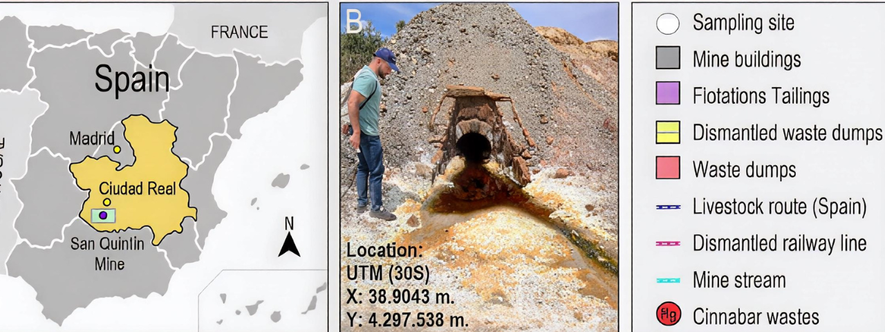 Transferencia de elementos potencialmente tóxicos desde los suelos a las plantas en una zona minera abandonada de Pb–Zn (mina de San Quintín, España centro-meridional)