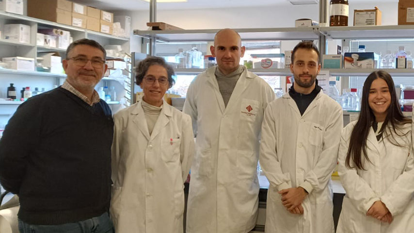 Parte del equipo del Laboratorio de Oncología del Instituto de Biomedicina de la UCLM